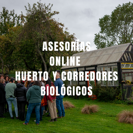 Asesoría OnLine de huerto y corredores biológicos