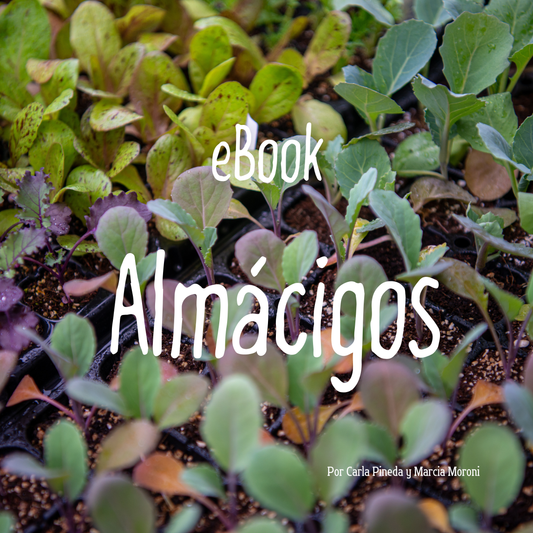 Ebook Almácigos