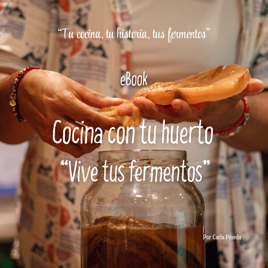 eBook Fermentos