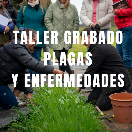 Taller Plagas y Enfermedades
