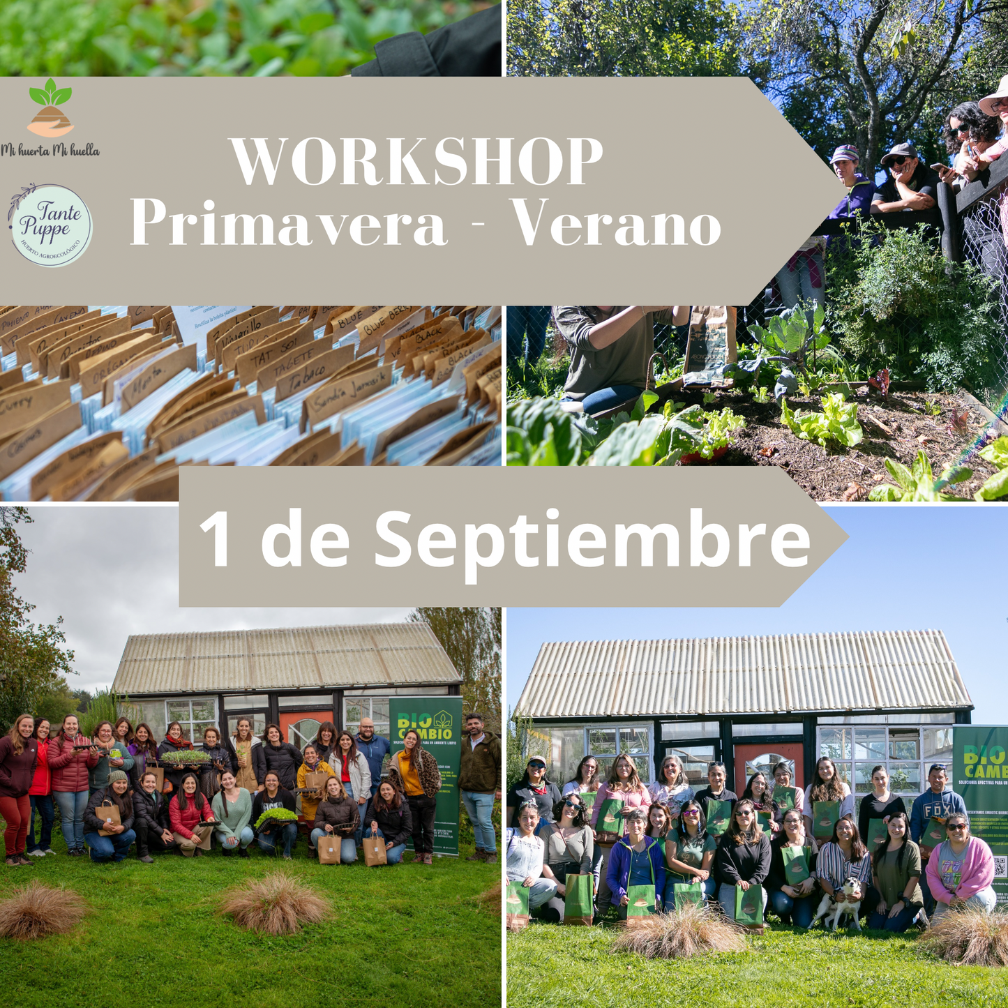 Workshop Huerto Primavera - Verano