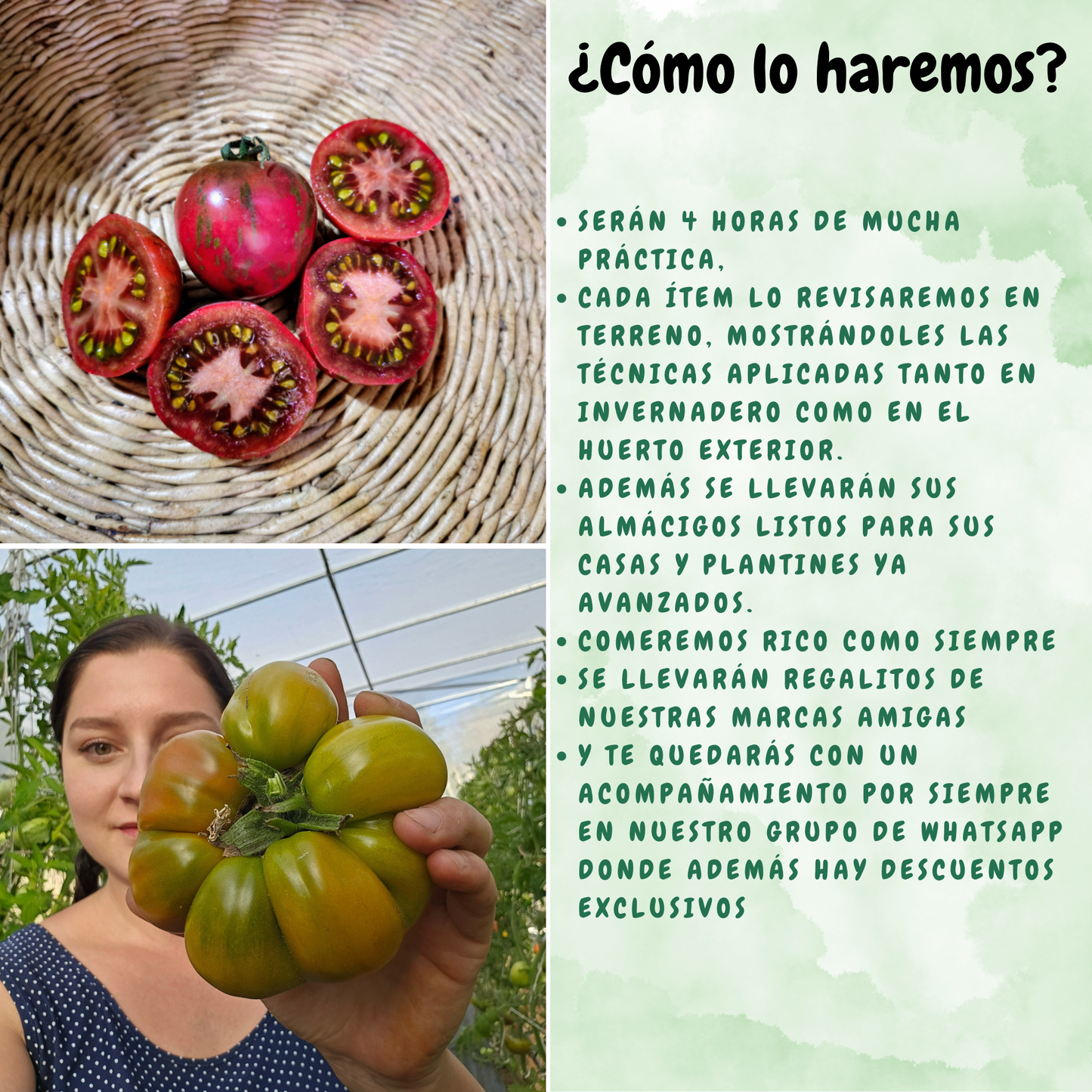 Workshop Huerto Primavera - Verano