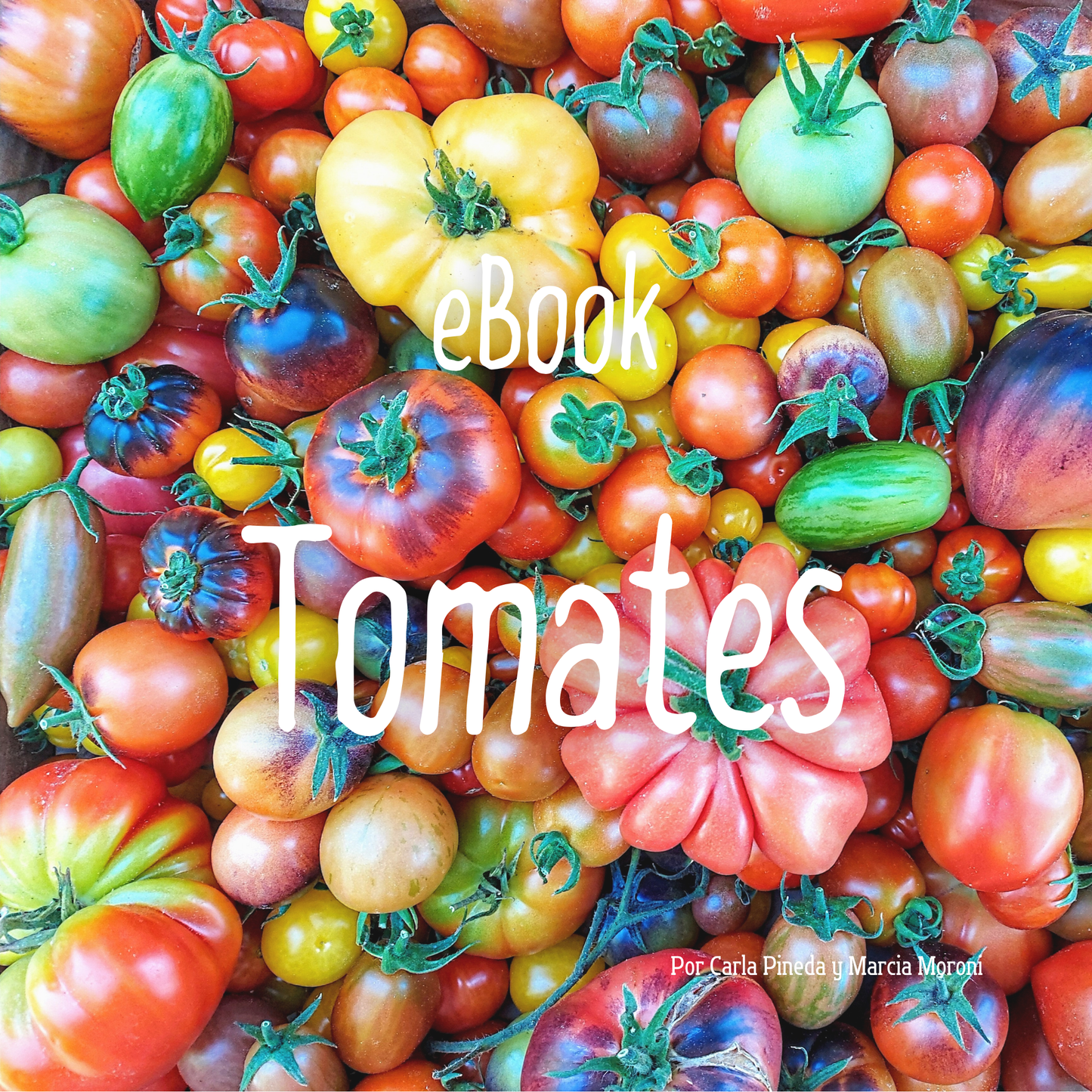 eBook Tomates